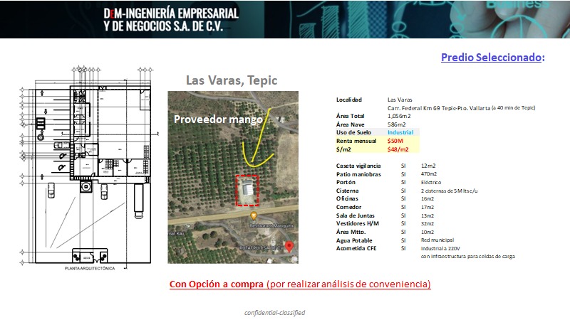 Convertir el sargazo en fertilizante orgánico el gran reto