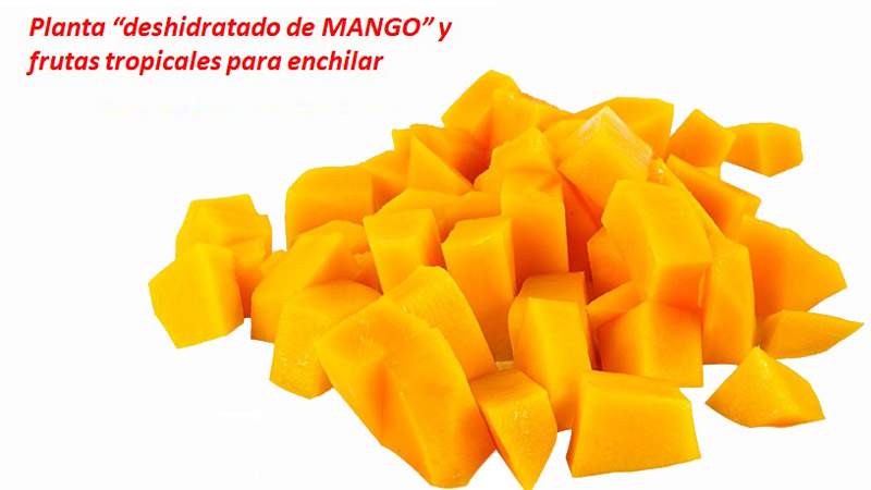 Convertir el sargazo en fertilizante orgánico el gran reto